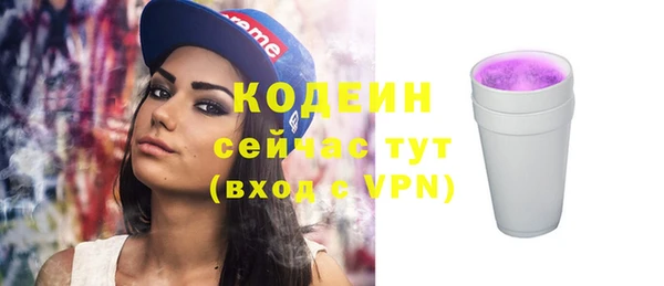 первитин Инта