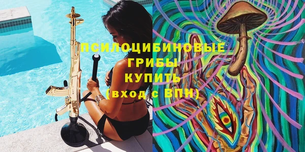 MDMA Premium VHQ Карпинск