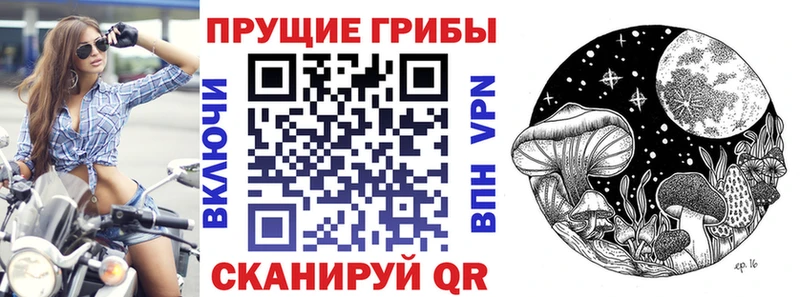 Псилоцибиновые грибы ЛСД KRAKEN ссылка Ковдор магазин